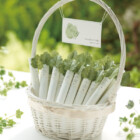 ウェルカムアイビーバスケット